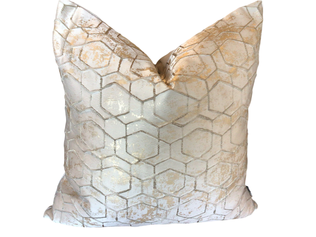 Malini Jaan Cushion