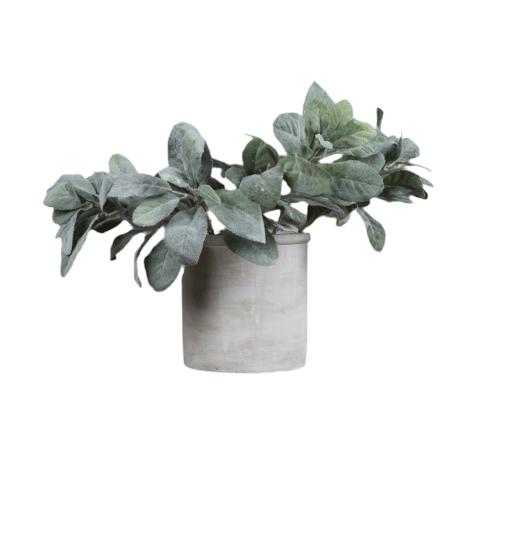 faux lambs ear potted plant Lambs Ear Spray Short Stem – Bailey & Tibbs